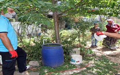 Sudaki bir larva 32 milyar sivrisinek oluyor