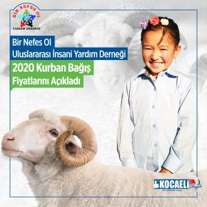 Bir Nefes Ol Uluslararası İnsani Yardım  Derneği 2020 Kurban bağış fiyatlarını açıkladı