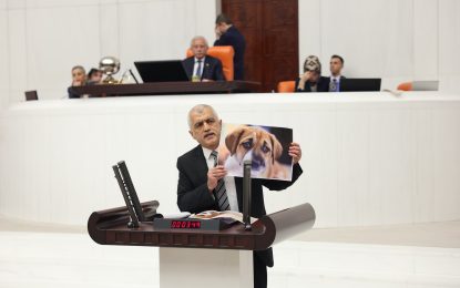 Gergerlioğlu, “Vicdanınızın sesini mi dinleyeceksiniz yoksa hayvan katliamı için Bahçeli ve Erdoğan’ın sözünü mü dinleyeceksiniz?” karar verin!