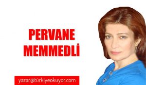 Türklerin bazı toplumsal kültürleri Kore kültürüne benzediği için beni çok şaşırtı