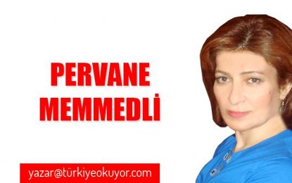 Türklerin bazı toplumsal kültürleri Kore kültürüne benzediği için beni çok şaşırtı