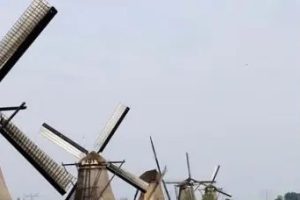 HOLLANDA SEÇİMLERİNDE, İŞÇİ PARTİSİNİN KAYBINDA TÜRKİYE’NİN ROLÜ VAR MI?