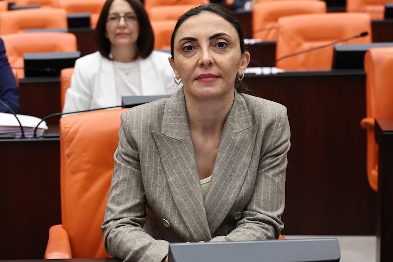 CHP’li Altaca Kayışoğlu “Yurt dışındaki vatandaşlar ehliyet mağduriyeti yaşıyor”